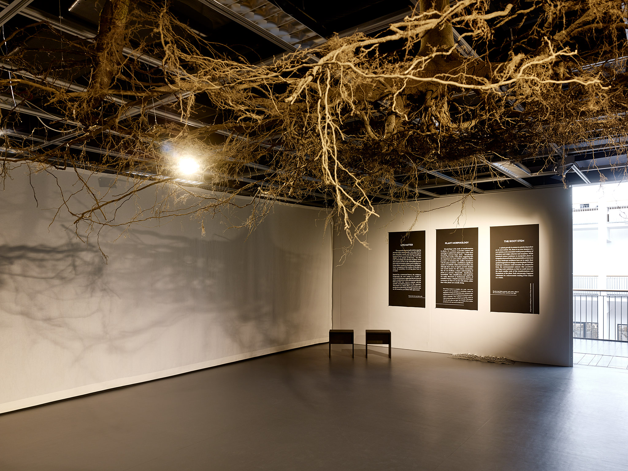 LIVE MATTER - Design Vegetal